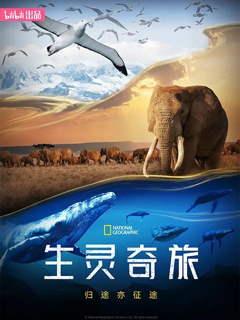 《生灵奇旅(2023)》高清海报 免费在线观看