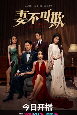 《妻不可欺(2024)》高清海报 免费在线观看