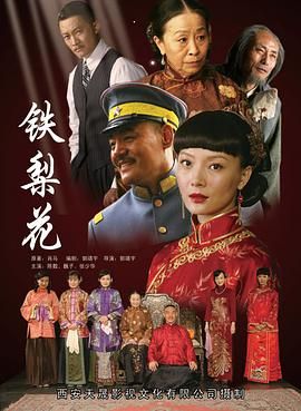 《铁梨花(2010)》高清海报 免费在线观看