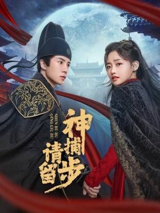 《神捕请留步(2025)》高清海报 免费在线观看