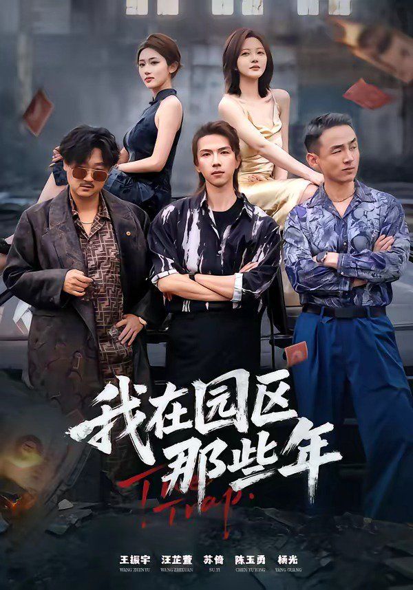 《我在园区那些年(2026)》高清海报 免费在线观看