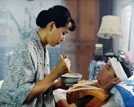 《无言的旅程(1996)》高清海报 免费在线观看