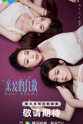《亲爱的仇敌(2025)》高清海报 免费在线观看