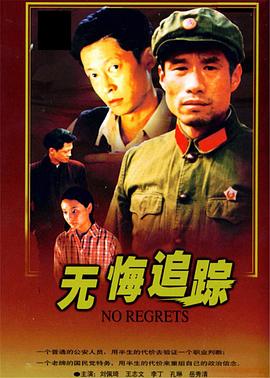 《无悔追踪(1995)》高清海报 免费在线观看