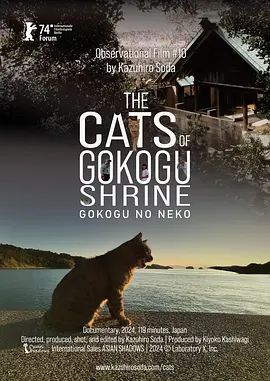 《五香宫的猫(2024)》高清海报 免费在线观看