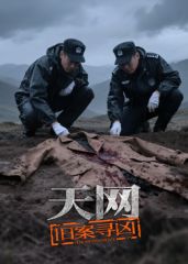《天网：旧案寻凶(2025)》高清海报 免费在线观看