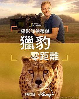 《摄影师贝尔蒂与猎豹零距离(2026)》高清海报 免费在线观看